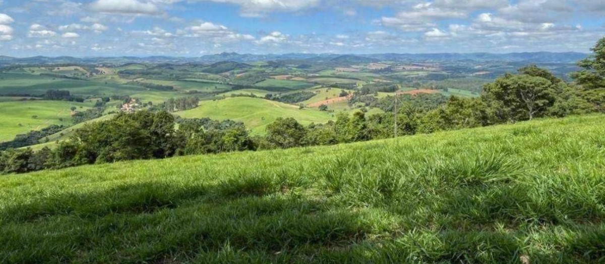 Fazenda, 659 hectares - Foto 5