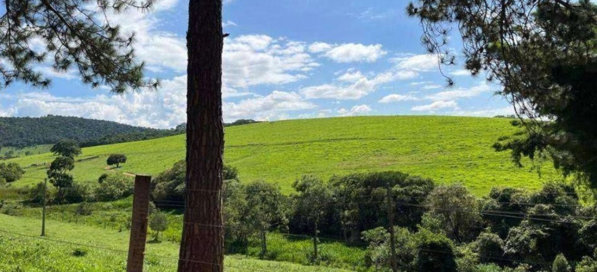 Fazenda, 659 hectares - Foto 17