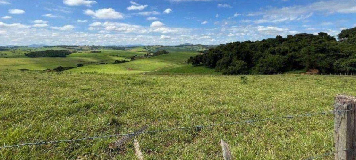 Fazenda, 659 hectares - Foto 8
