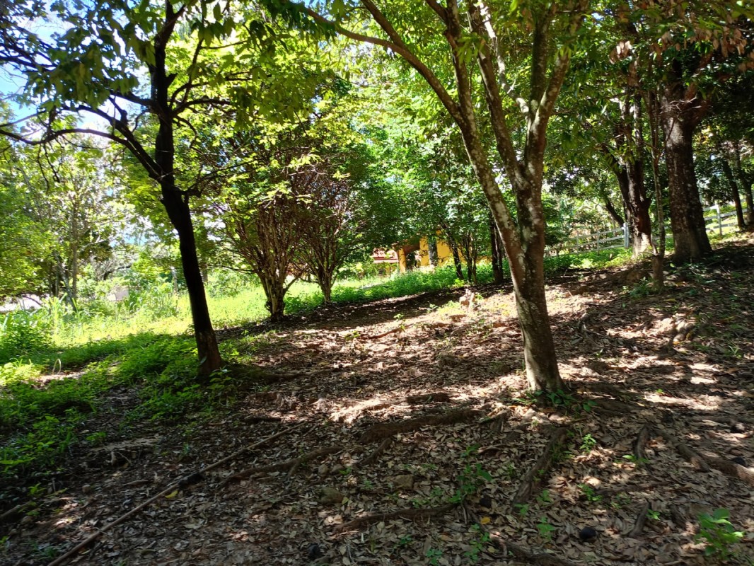 Chácara, 5 quartos - Foto 8