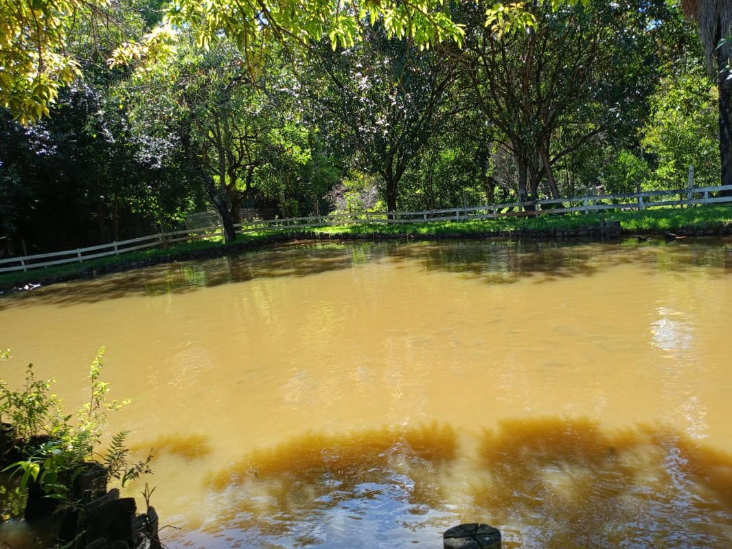 Chácara, 5 quartos - Foto 6