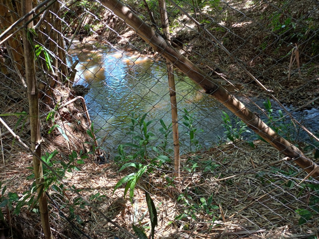 Chácara, 5 quartos - Foto 3