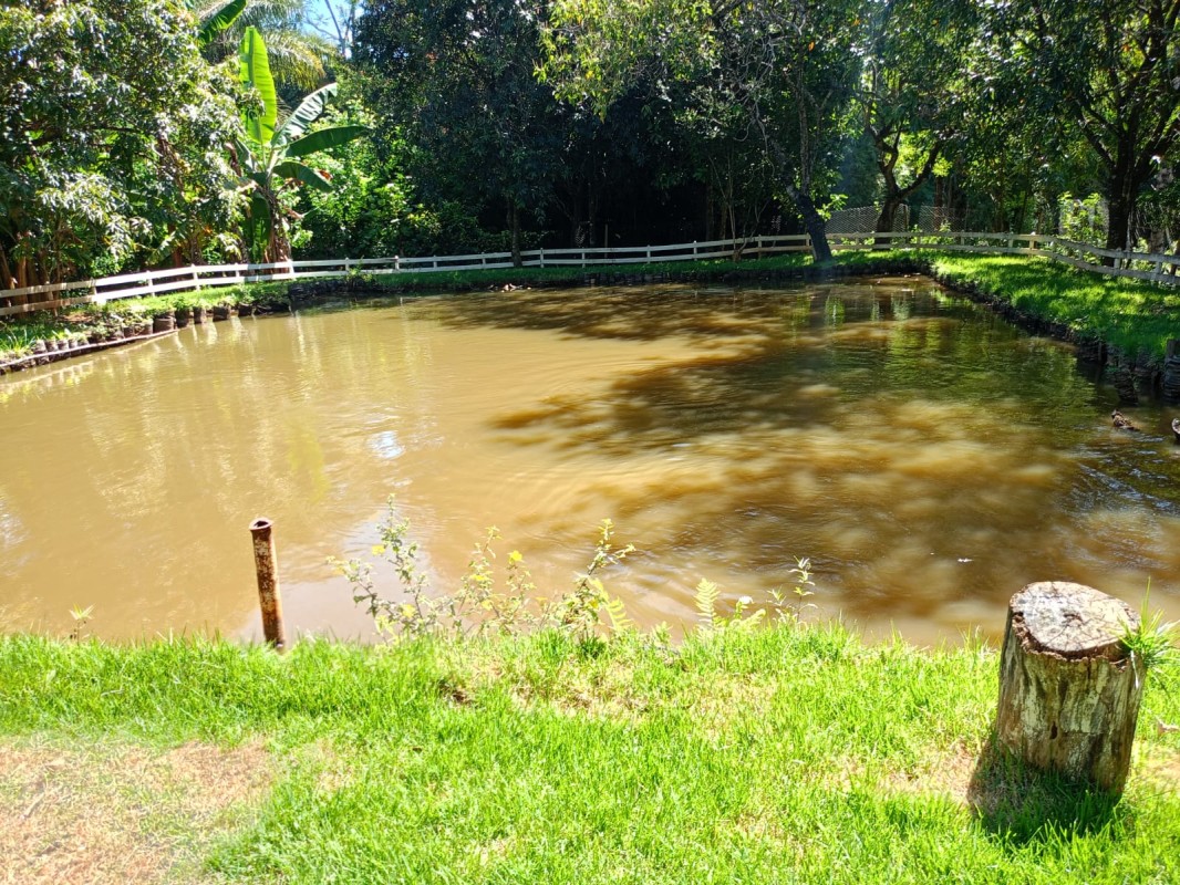 Chácara, 5 quartos - Foto 10