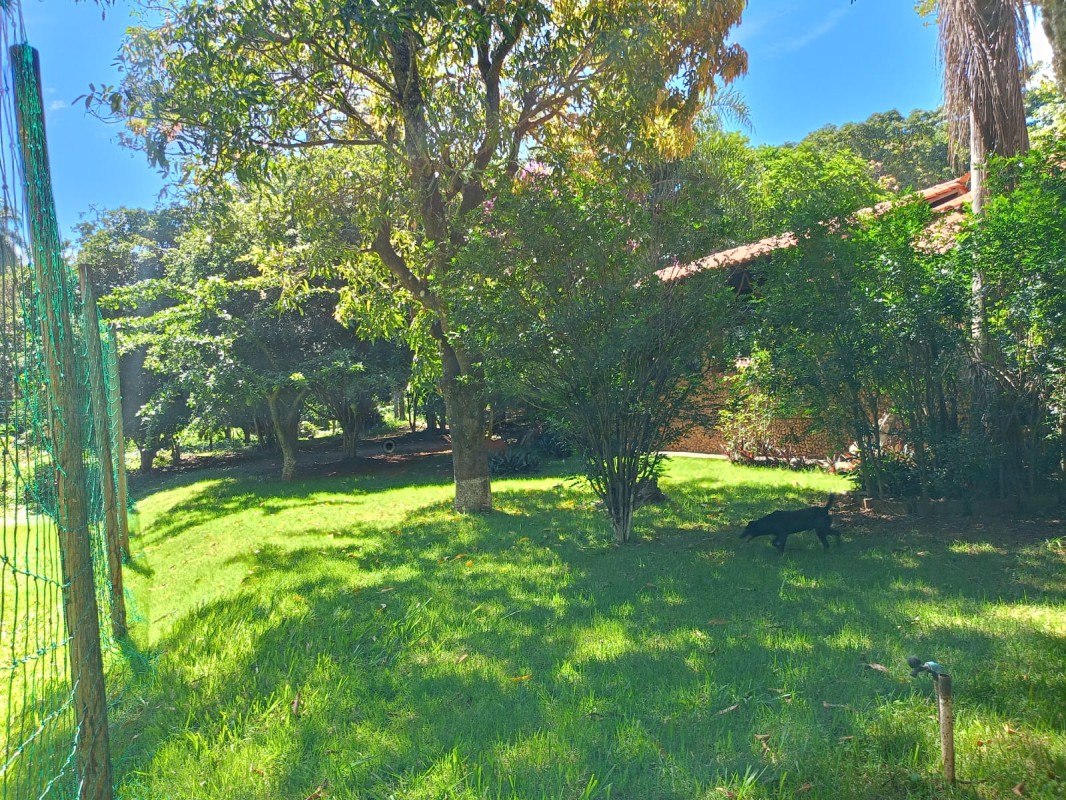 Chácara, 5 quartos - Foto 14