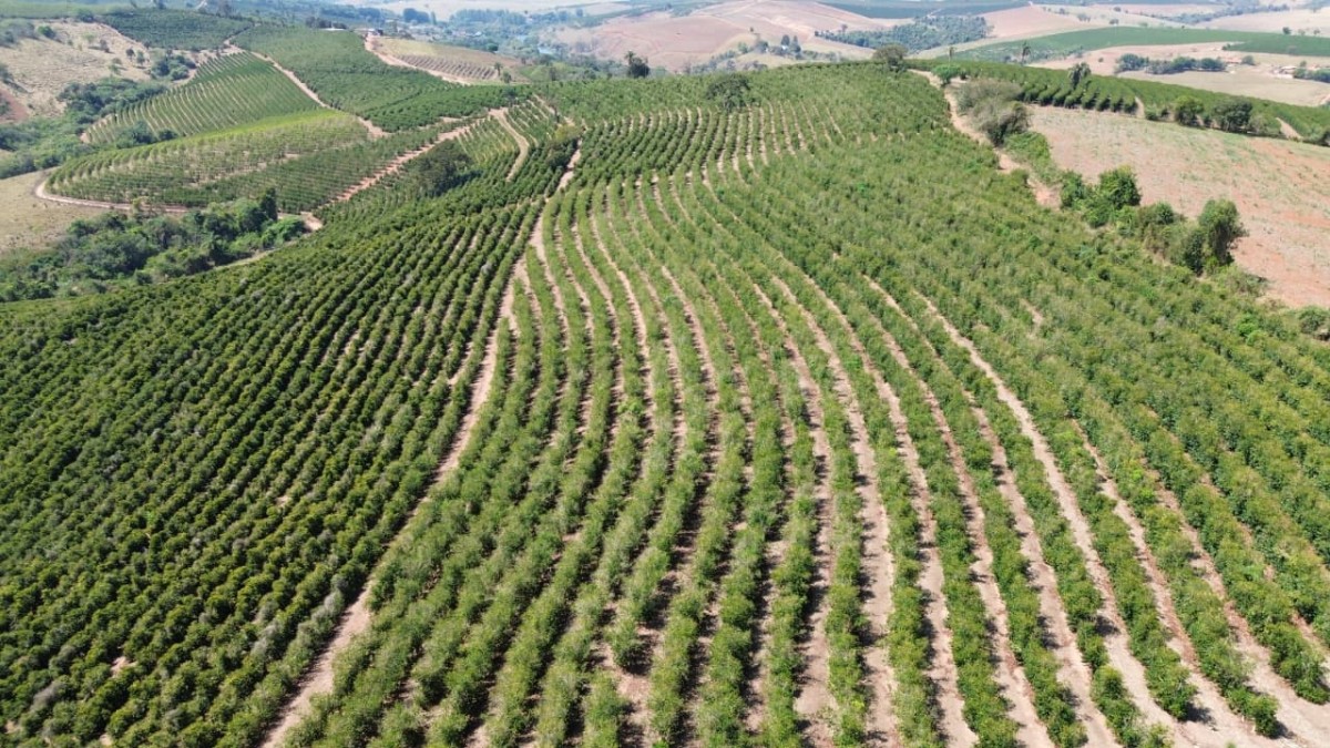 Sítio, 1 quarto, 24 hectares - Foto 3