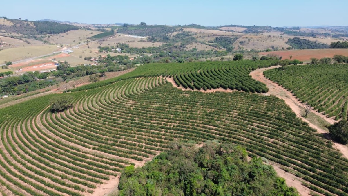 Sítio, 1 quarto, 24 hectares - Foto 4