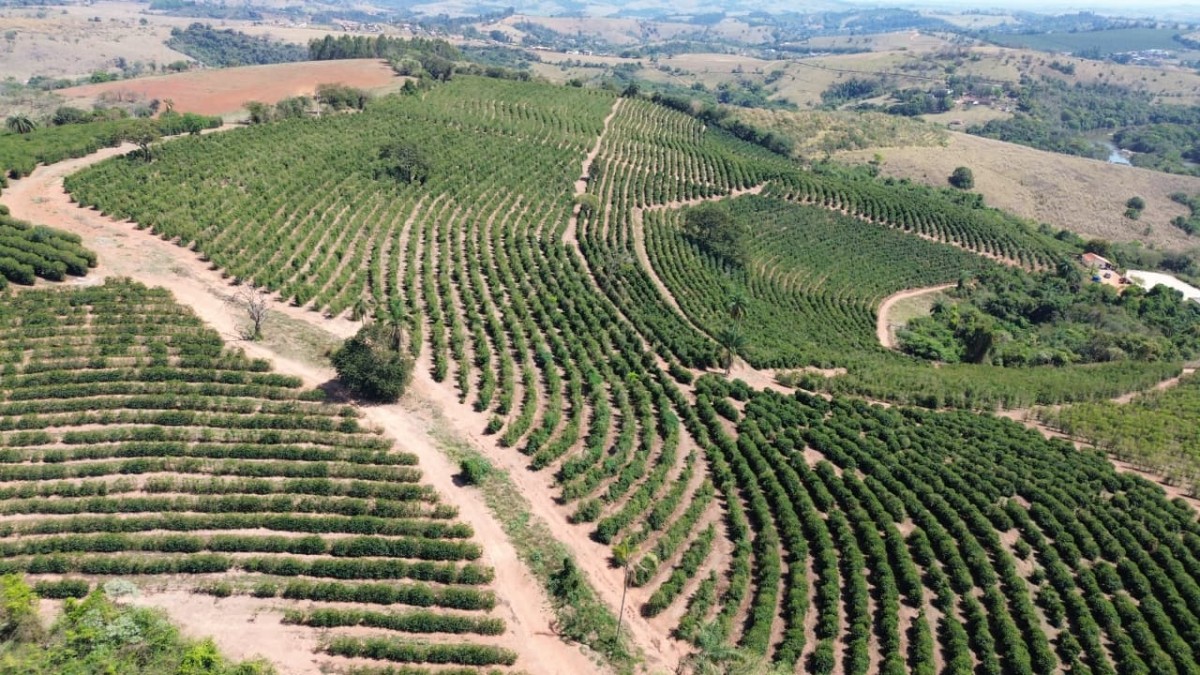 Sítio, 1 quarto, 24 hectares - Foto 8