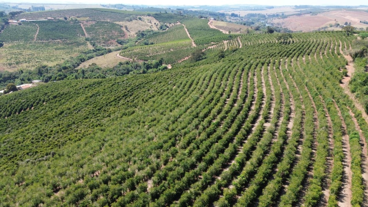 Sítio, 1 quarto, 24 hectares - Foto 7