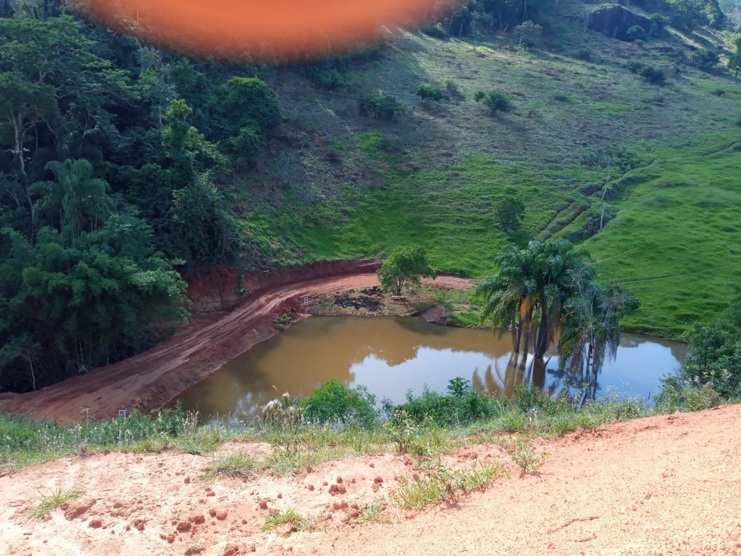 Fazenda, 52 hectares - Foto 12