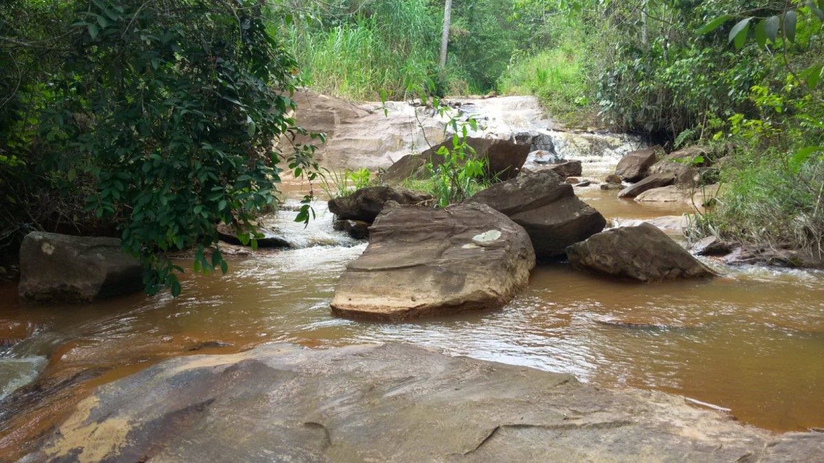 Fazenda, 52 hectares - Foto 11
