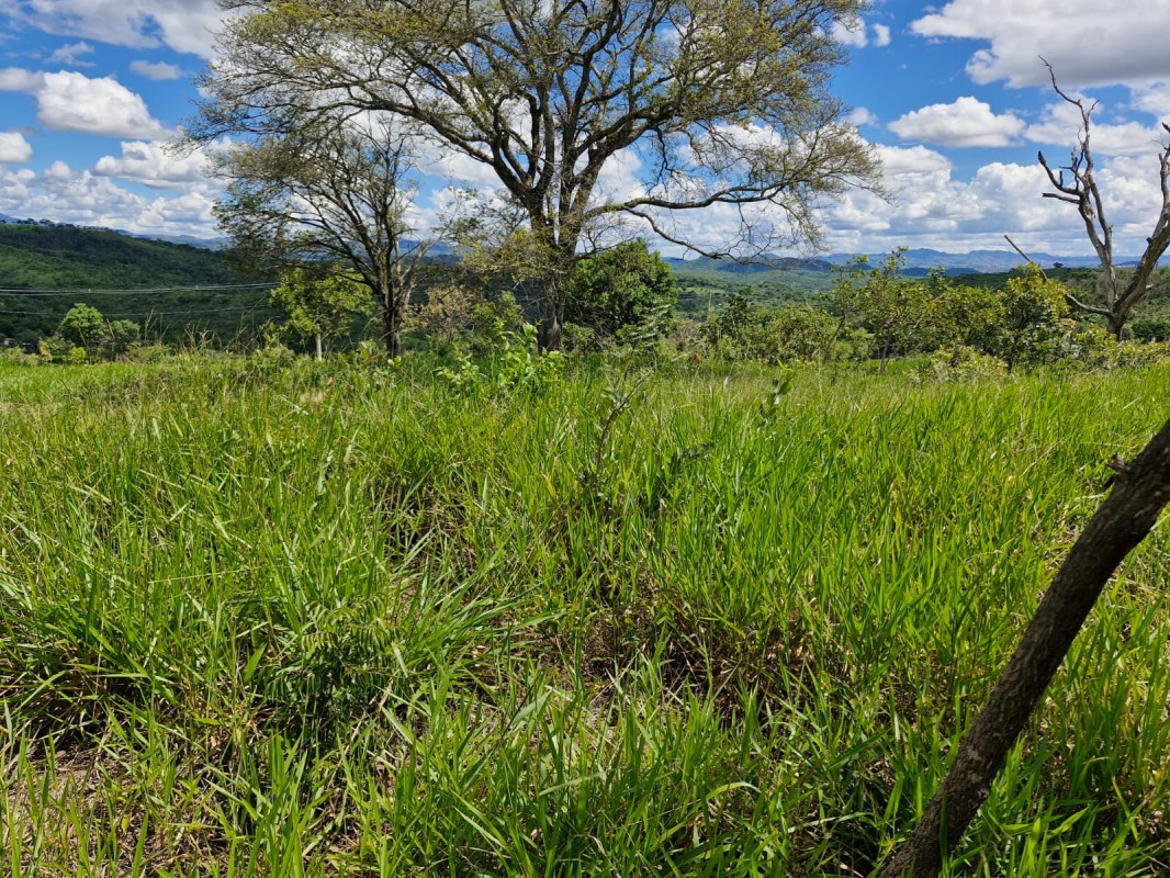 Terreno, 1022 m² - Foto 8