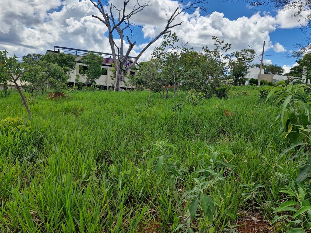 Terreno, 1022 m² - Foto 7