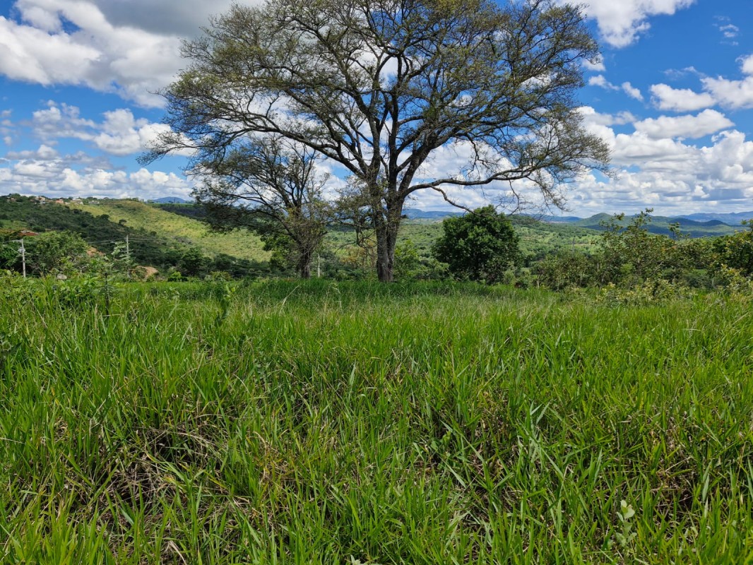 Terreno, 1022 m² - Foto 6