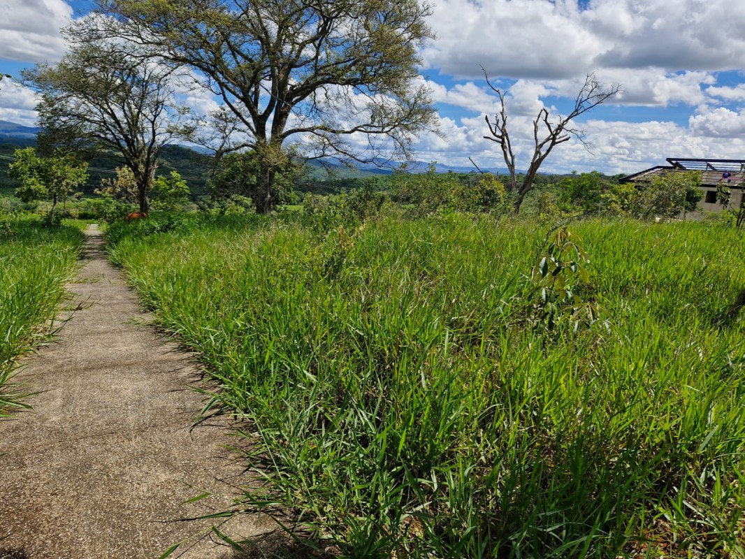 Terreno, 1022 m² - Foto 16