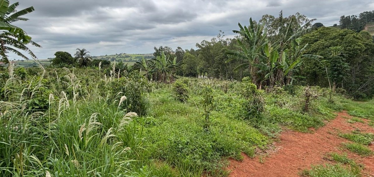 Sítio, 1 quarto, 12 hectares - Foto 1