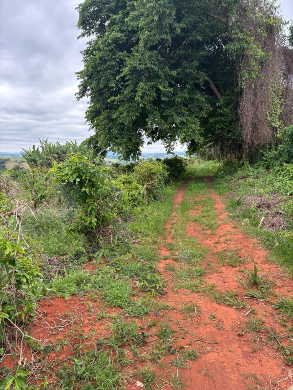 Chácara, 1 quarto, 12 hectares - Foto 11