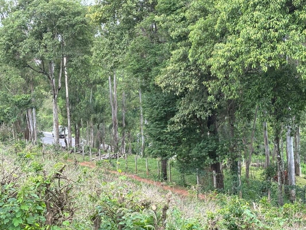 Chácara, 1 quarto, 12 hectares - Foto 7