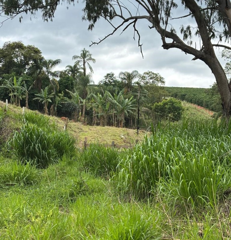 Chácara, 1 quarto, 12 hectares - Foto 17