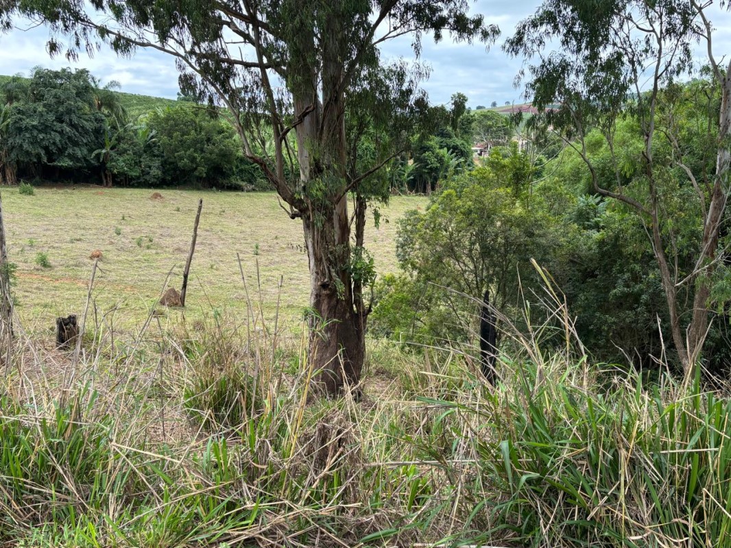 Chácara, 1 quarto, 12 hectares - Foto 15