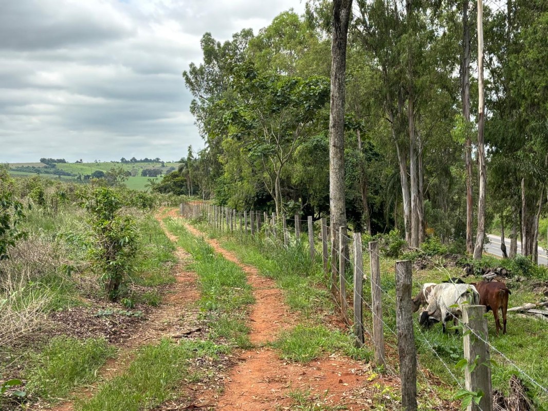 Chácara, 1 quarto, 12 hectares - Foto 8