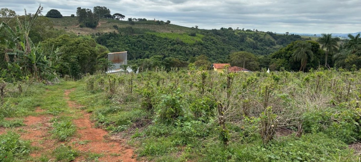 Sítio, 1 quarto, 12 hectares - Foto 4