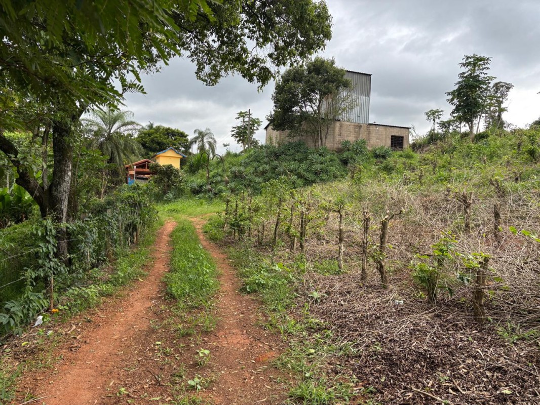 Chácara, 1 quarto, 12 hectares - Foto 10