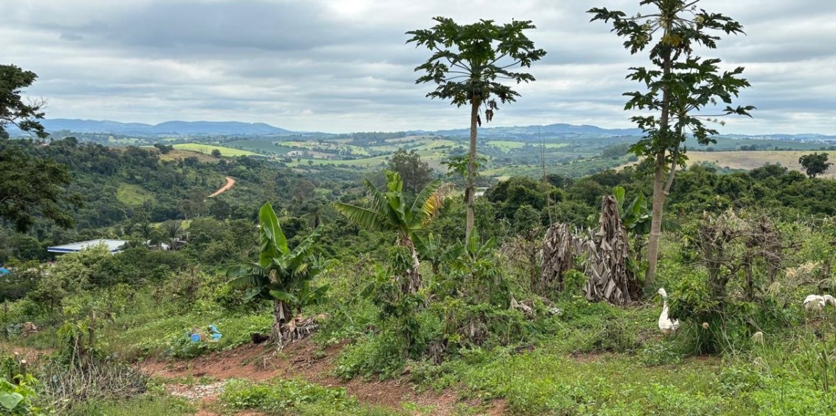 Chácara, 1 quarto, 12 hectares - Foto 6