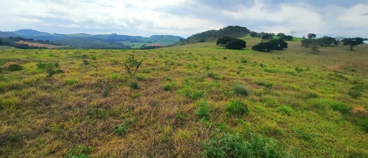 Fazenda, 250 hectares - Foto 22