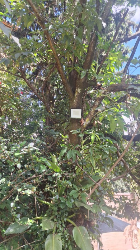 Terreno, 372 m² - Foto 8