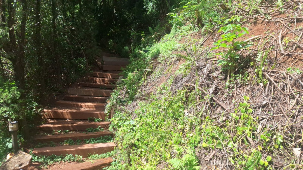 Terreno, 372 m² - Foto 7