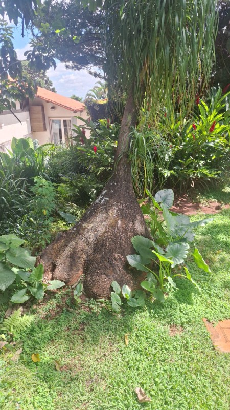 Terreno, 372 m² - Foto 3