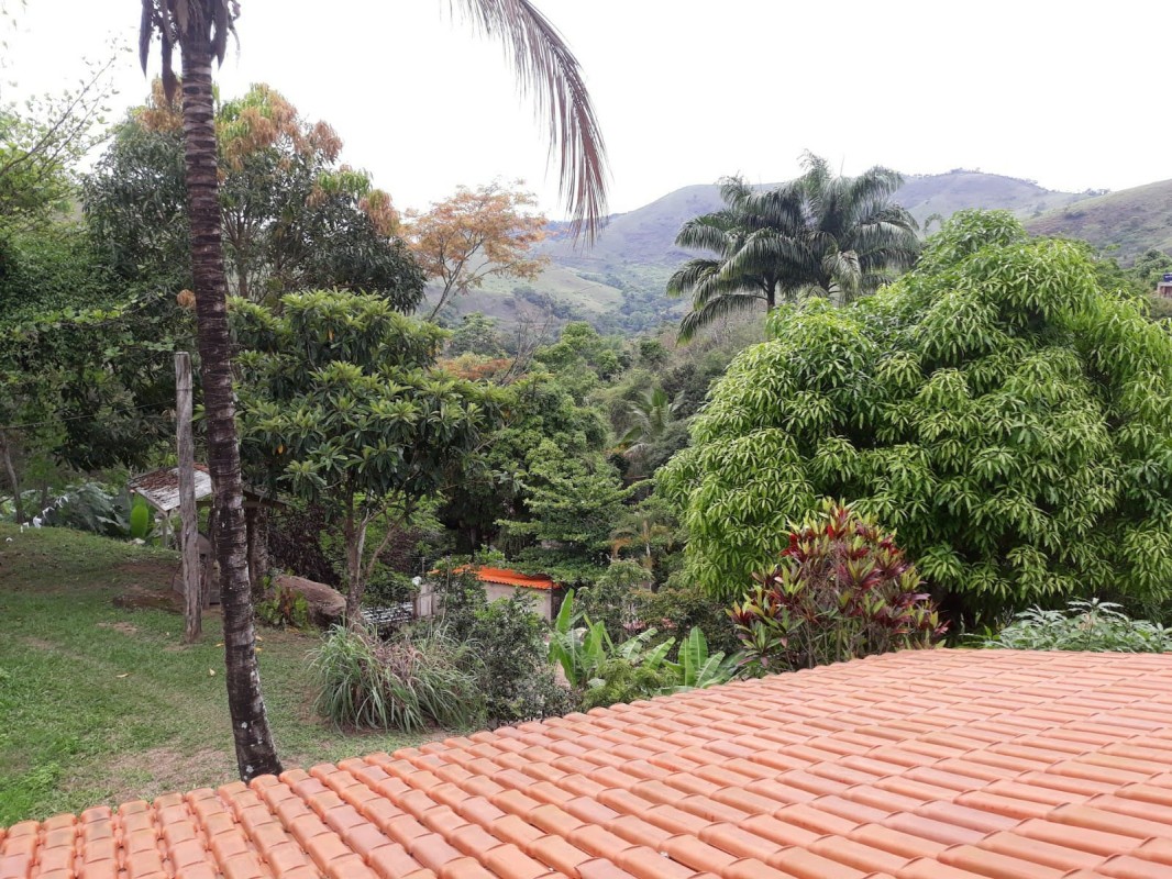 Chácara, 4 quartos, 10000 m² - Foto 8