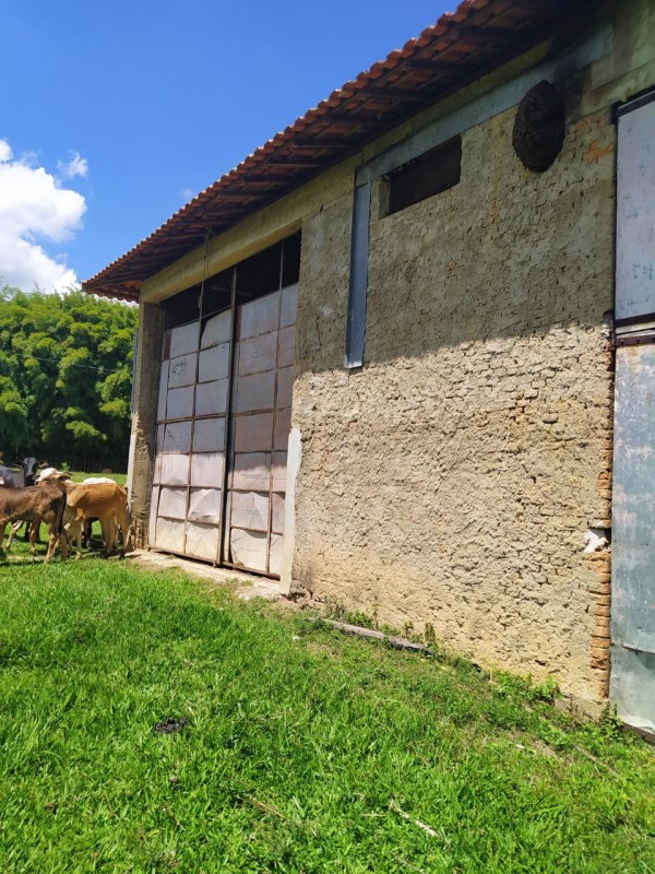 Chácara, 1 quarto, 133 hectares - Foto 14