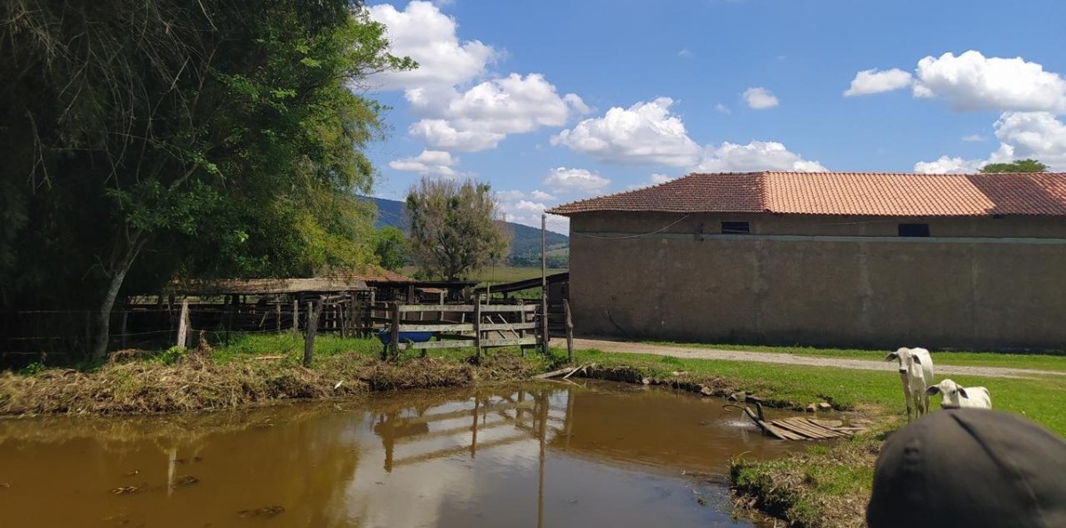 Chácara, 1 quarto, 133 hectares - Foto 13