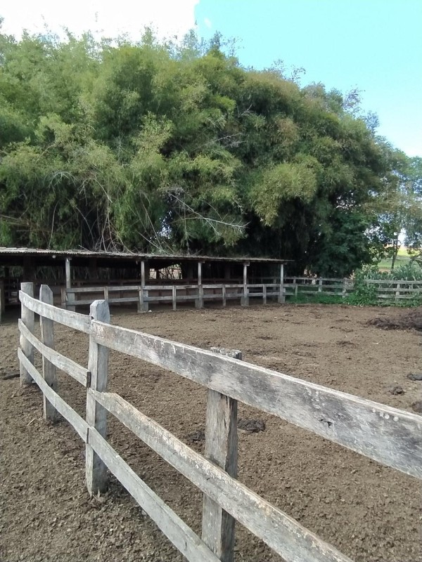 Chácara, 1 quarto, 133 hectares - Foto 12