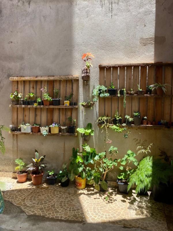 Casa, 5 quartos, 385 m² - Foto 5