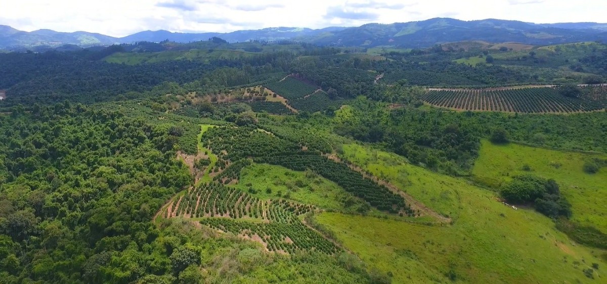 Fazenda, 302 hectares - Foto 7