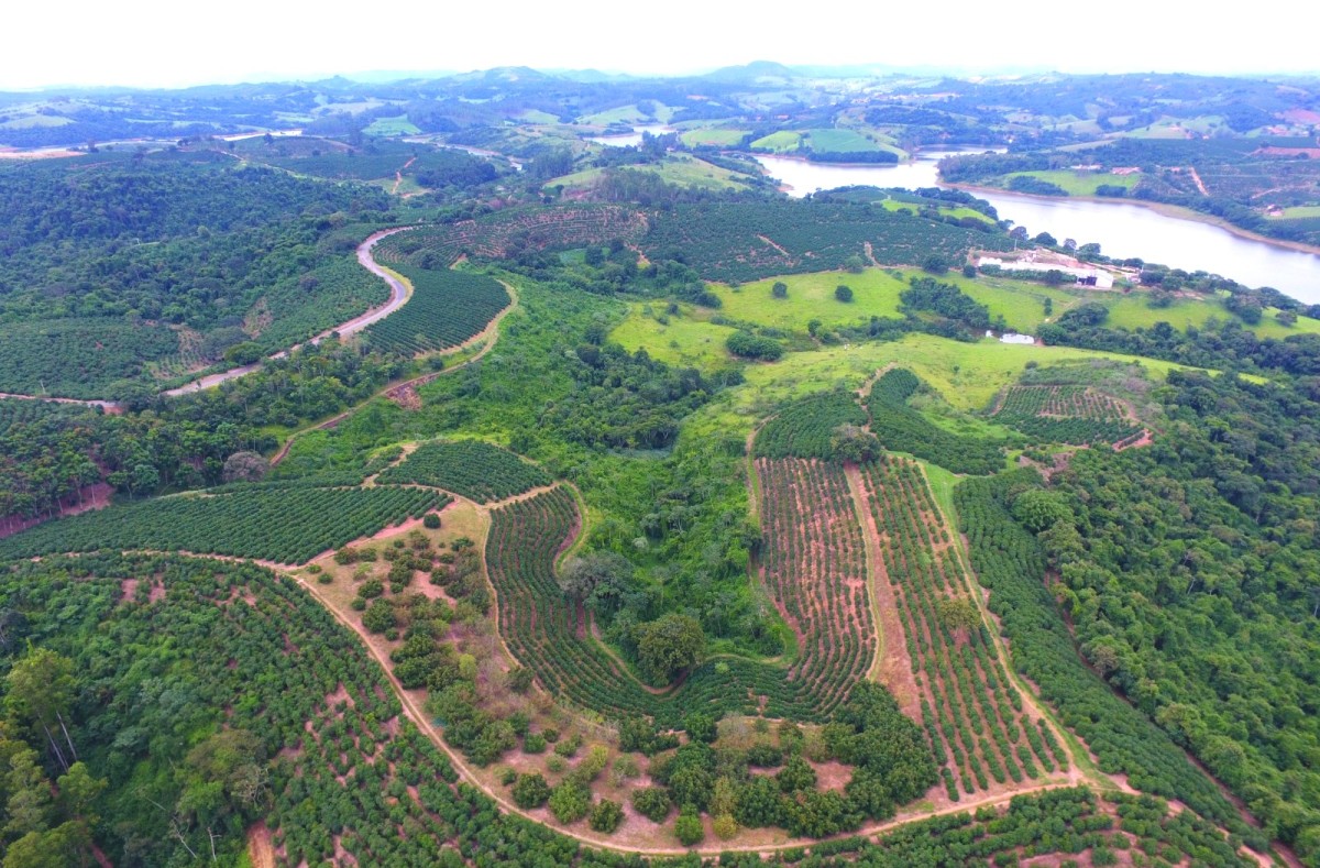 Fazenda, 302 hectares - Foto 11