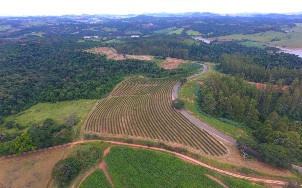 Fazenda, 302 hectares - Foto 17