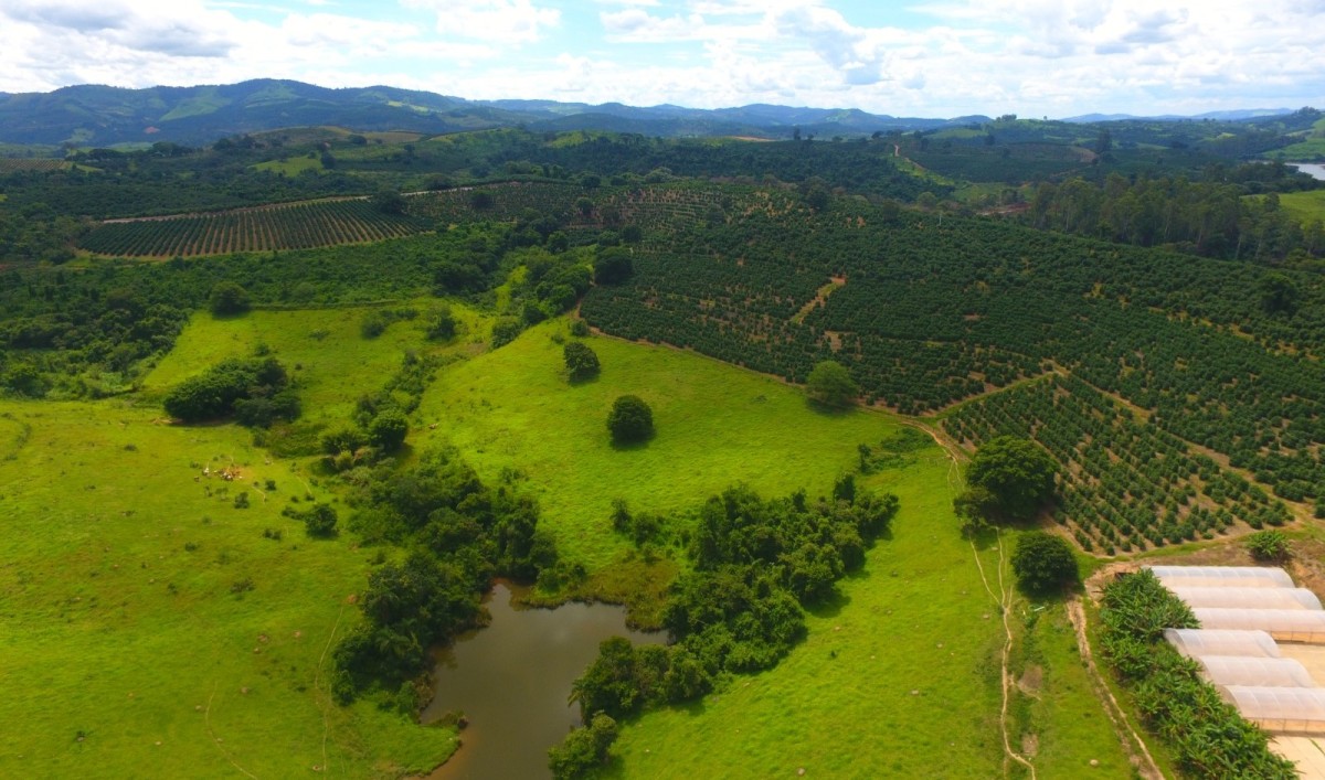 Fazenda, 302 hectares - Foto 16