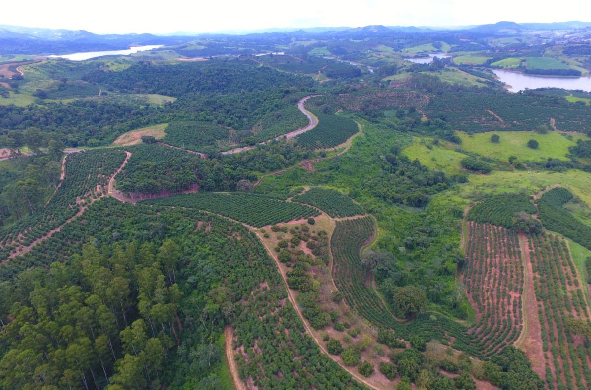 Fazenda, 302 hectares - Foto 15