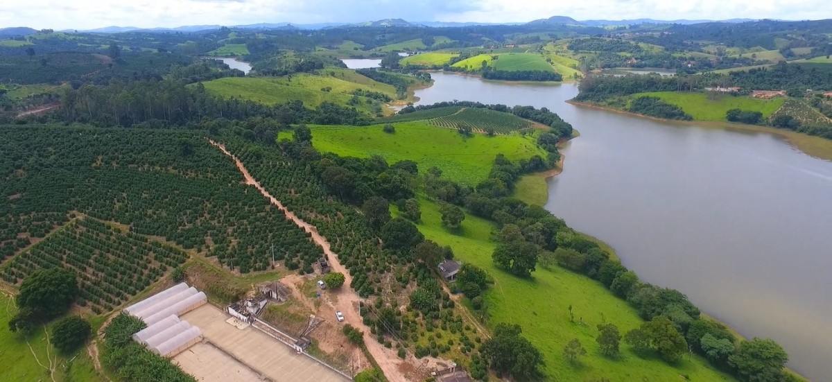 Fazenda, 302 hectares - Foto 3