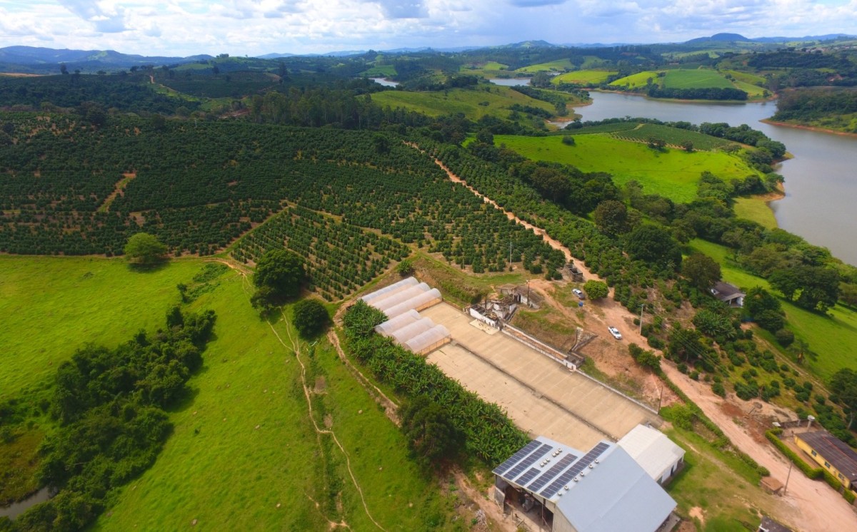 Fazenda, 302 hectares - Foto 23