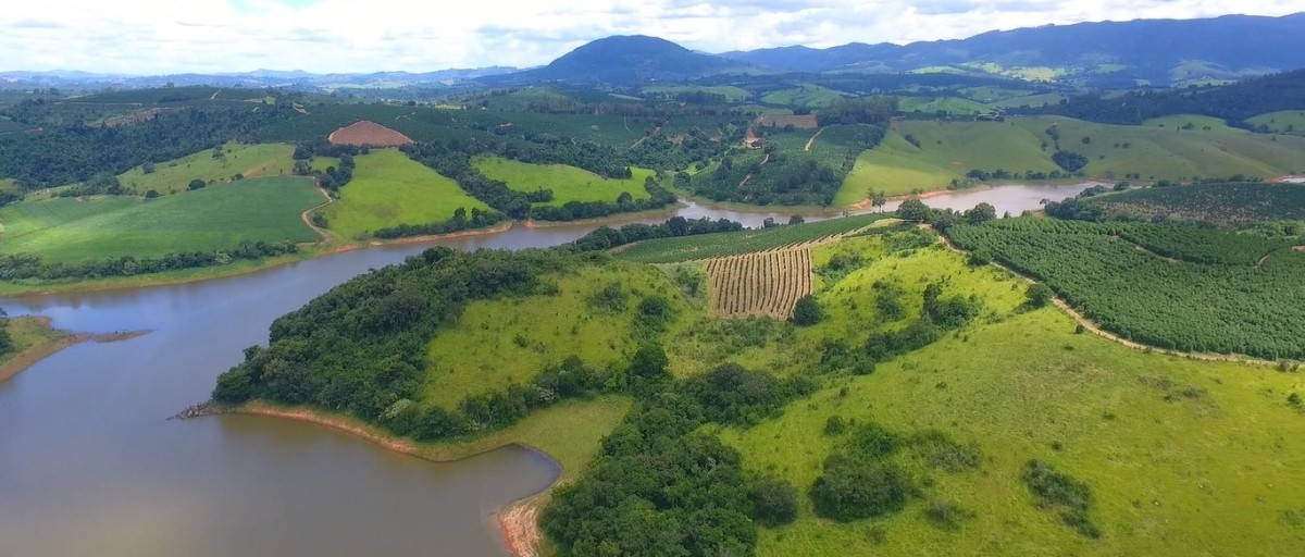 Fazenda, 302 hectares - Foto 5