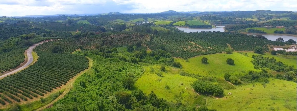 Fazenda, 302 hectares - Foto 1