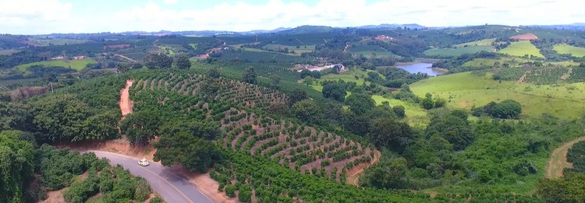 Fazenda, 302 hectares - Foto 6