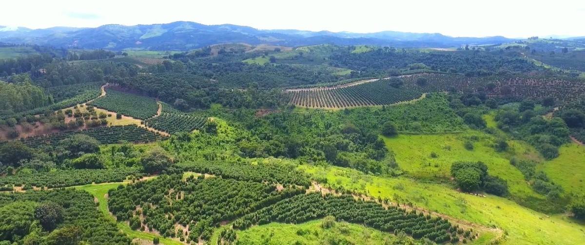 Fazenda, 302 hectares - Foto 4