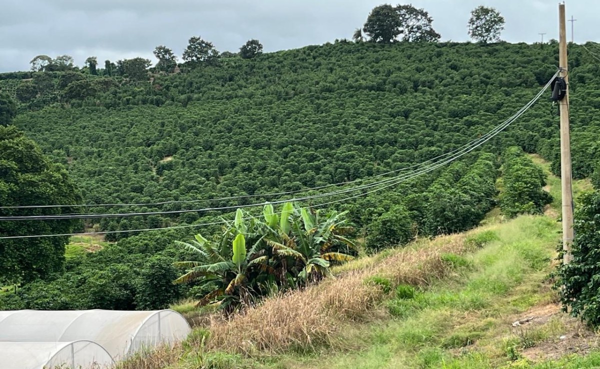 Fazenda, 302 hectares - Foto 2