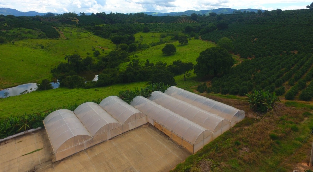 Fazenda, 302 hectares - Foto 25
