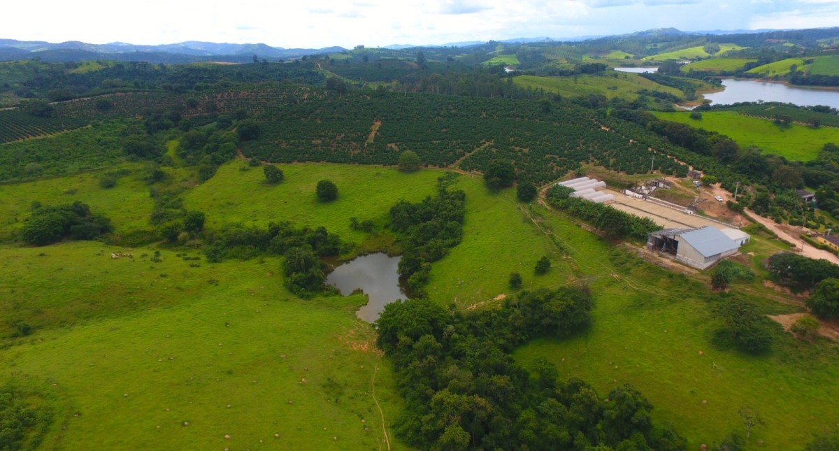 Fazenda, 302 hectares - Foto 9